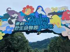 -西安秦岭野生动物园