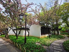 -枫桥景区