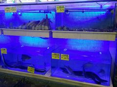 android_upload_pic-珠海棕泉水疗酒店(拱北口岸高铁站店)