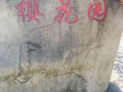 -高东镇樱花园