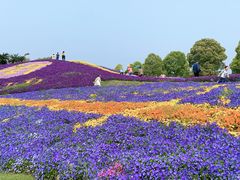 -南通洲际绿博园
