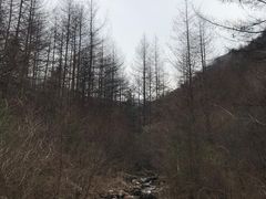 -秦岭风景区