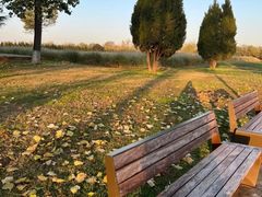 -汉长安城未央宫国家考古遗址公园