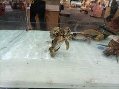 -盒马鲜生(新都心店)