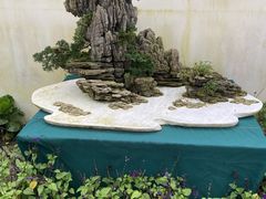 -南山植物园
