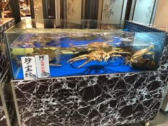水产区-宝园酒家(美林M·LIVE天地东座店)