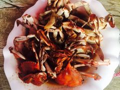 -小鱼儿海鲜港(新村十区店)