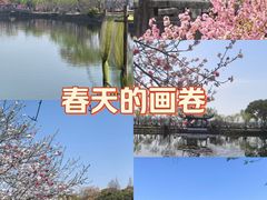 -无锡蠡湖国家湿地公园-蠡园