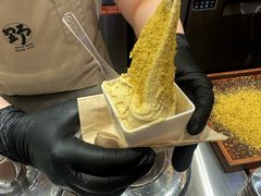 -野人先生Gelato(上海长宁龙之梦店)