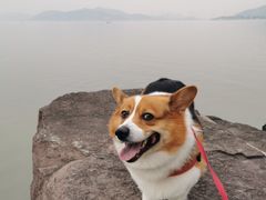 -东钱湖小普陀景区