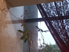 -巴音浩日娲·蒙餐(双林东路店)
