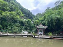 -黔灵山公园