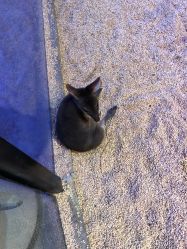 -酷嗒动物文化乐园(cutezoo西溪乐天城店)