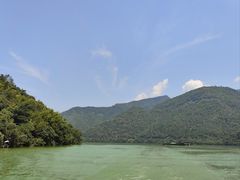 -芦茨金富饭庄·25年老字号·专做稻草鸡
