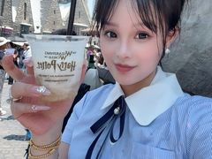 -哈利波特魔法世界