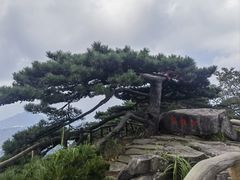 -罗田薄刀峰风景区