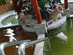 -碧水湾温泉
