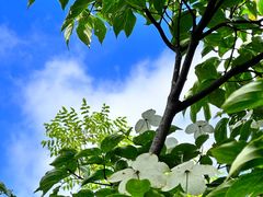 -山王坪喀斯特国家生态公园