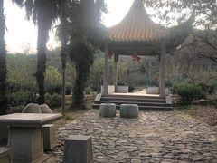 -雨花胜境