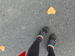 -合肥滨湖国家森林公园