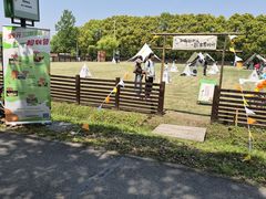 -嘉北郊野公园