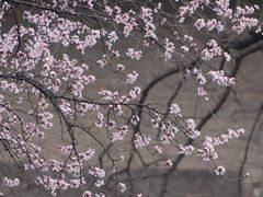 -山东大学(趵突泉校区)