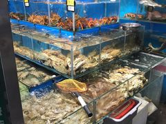 -岳各庄批发市场(西四环中路店)