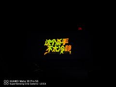 -枫花园汽车电影院(朝阳公园店)