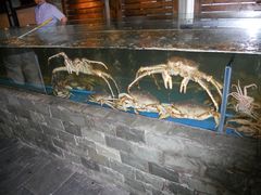 毛蟹-蟹之国·精品蟹料理(极地店)