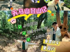 -上海佘山国家森林公园天马山园