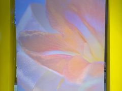 -茂业天地(华强北店)