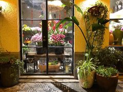 -Madeleine玛德琳(永平里店)