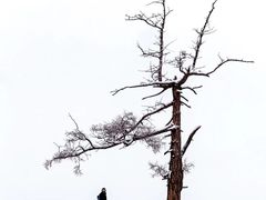 -青岛金沙滩