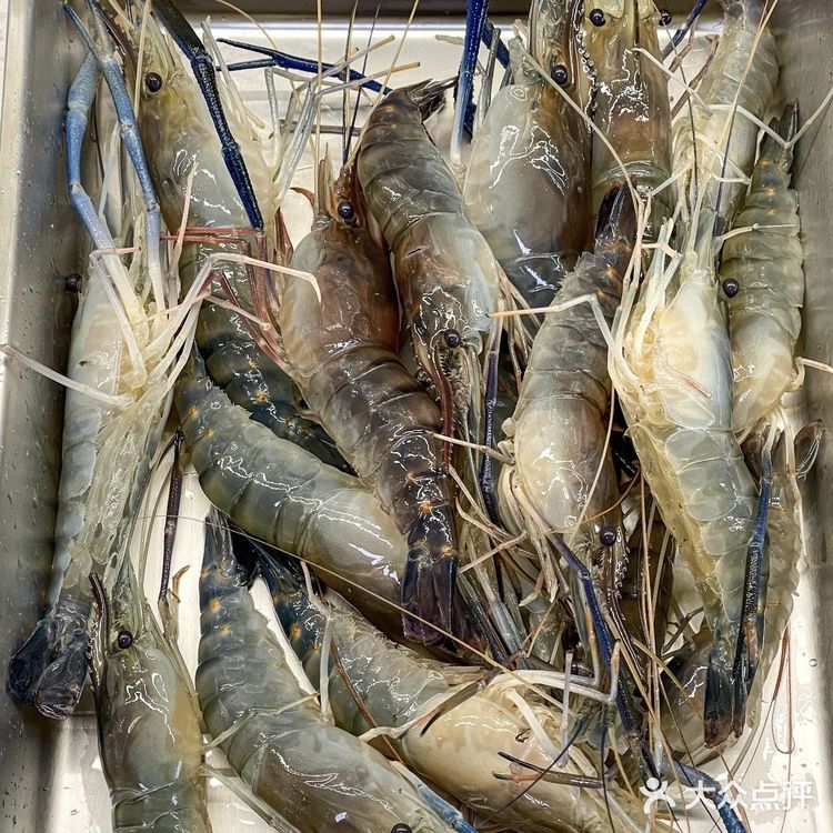 夏日清凉一“把”虾  熟醉罗氏虾