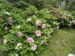 -国家植物园南园