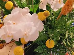 -麓湖国际水疗