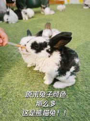 -萌宠亲子动物乐园(槐房万达店)