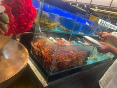-苏格里岛自助烤肉海鲜火锅(成都金牛万达店)