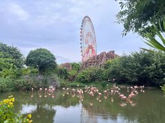 -芽庄珍珠岛游乐园