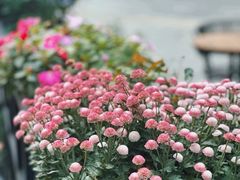 -红跑车HPCBAKERY(汉商店)