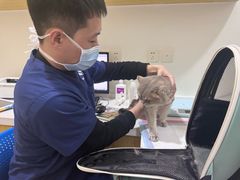 -初心动物医院