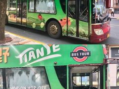 -BUS TOUR观光巴士