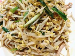 小炒笨豆芽-添福来墨鱼饺子 · 海鲜东北菜(大连星海·黄浦路店)