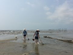 -北海金海湾红树林生态旅游区