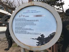 -龙头岩(Dragon Head Rock)