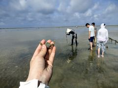 -红树林天天赶海