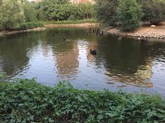 -长白岛森林公园