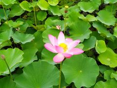 -常州奔牛国际机场