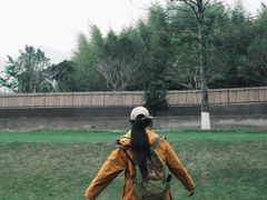 -径山花海