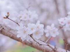 -新天地活力PARK